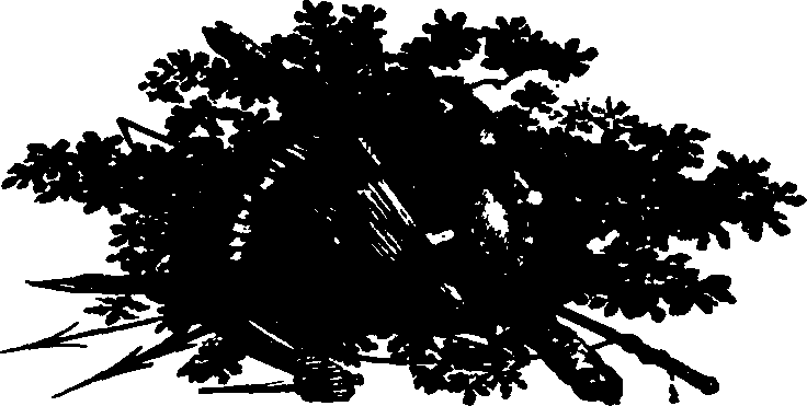 091/091680020100380_2.png