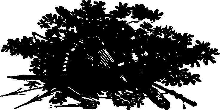 091/091680020100750_0.png
