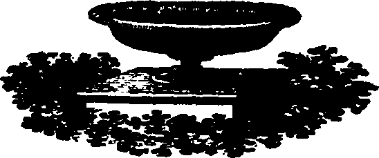 091/091680020100850_0.png