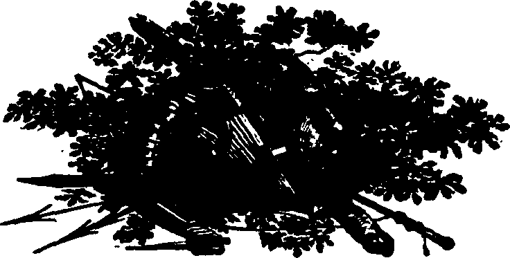 091/091680020100900_0.png