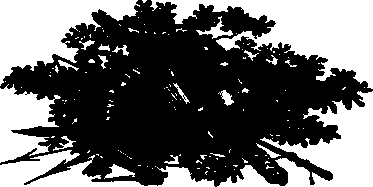 091/091680020102270_0.png