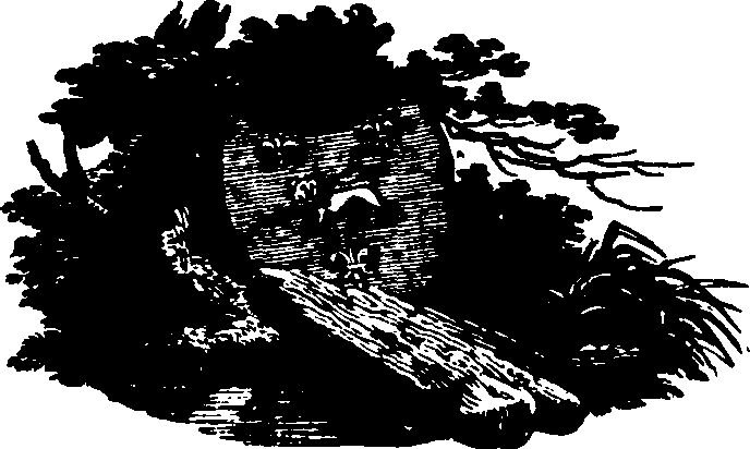 091/091680020200410_0.png