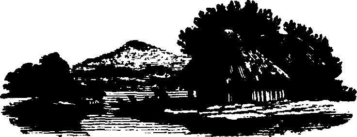 091/091680020201070_0.png
