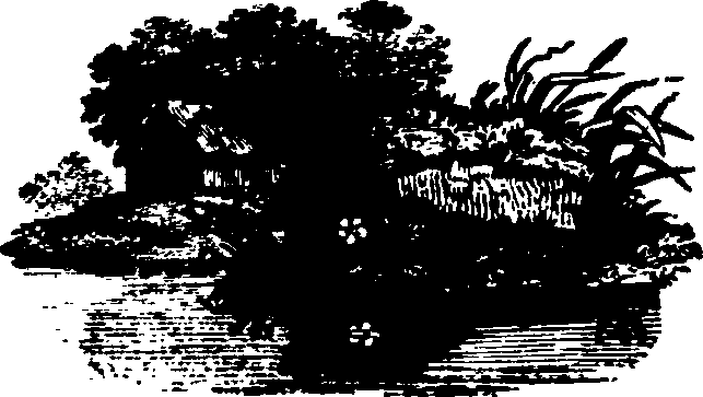 091/091680020201130_0.png