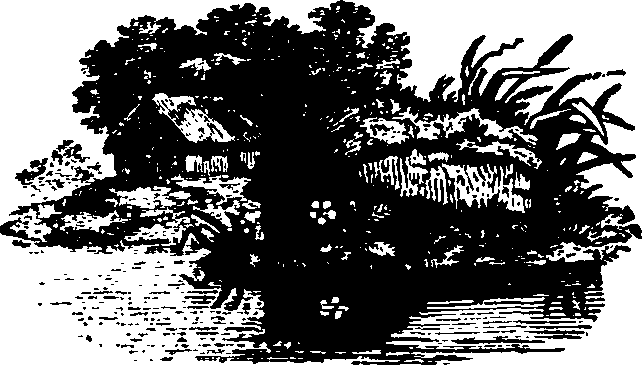 091/091680020201580_0.png
