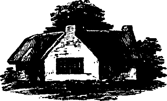 091/091680020202410_0.png