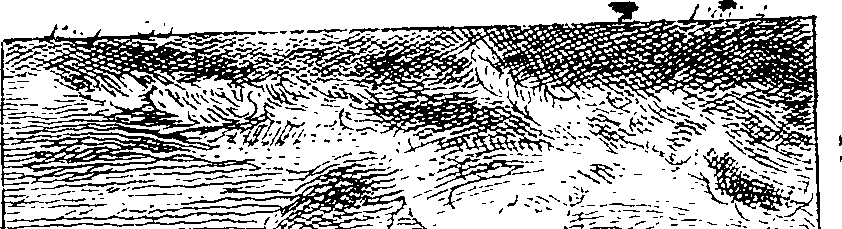 091/091990030000370_1.png