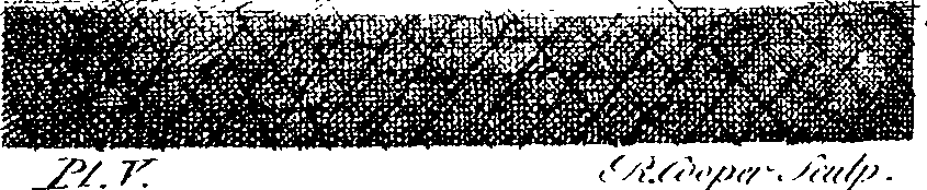 091/091990030001750_0.png