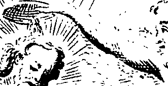 092/092100010003830_0.png