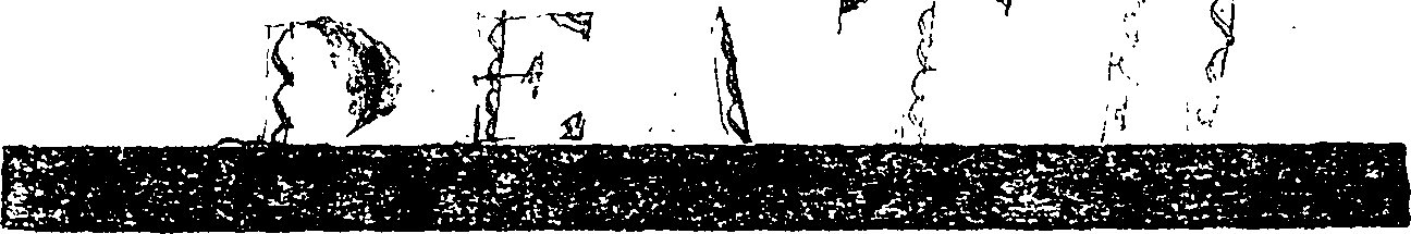 092/092130110000010_0.png