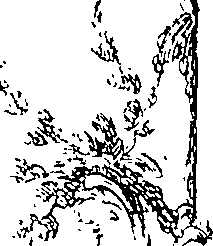 092/092220040000930_0.png