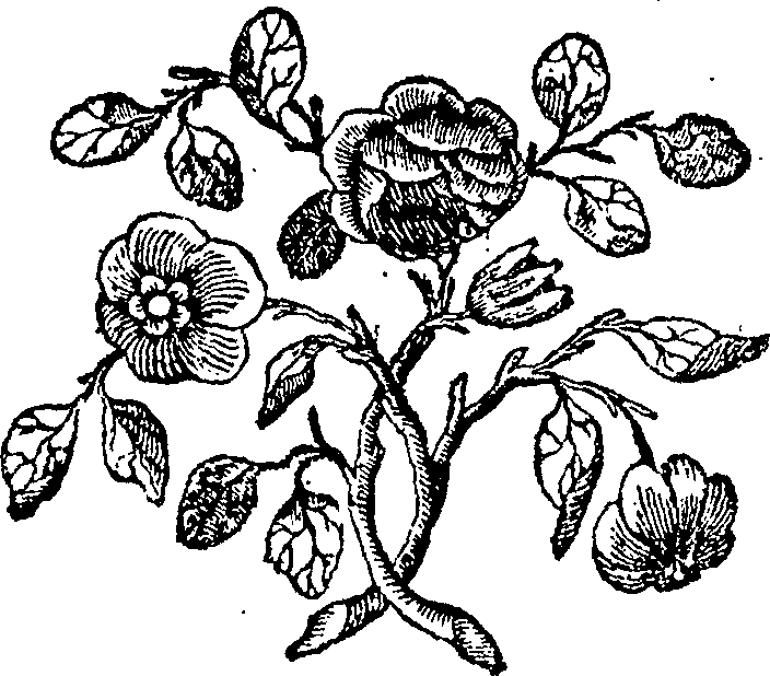 092/092240040000710_0.png