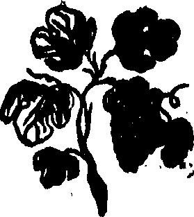 092/092240040001130_0.png