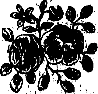 092/092240040001160_0.png