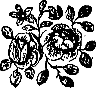 092/092240040001240_0.png