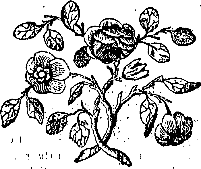 092/092240040001630_0.png