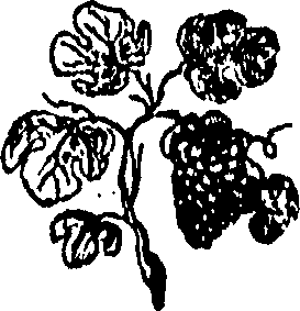 092/092240040001920_0.png