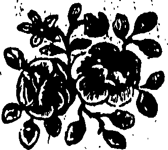 092/092240040002110_0.png