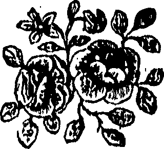 092/092240040002230_0.png