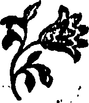 092/092240040002330_0.png