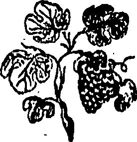 092/092240040002550_0.png