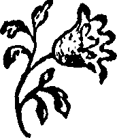 092/092240040002740_0.png