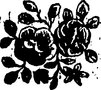 092/092240040002950_0.png