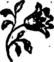092/092240040003260_0.png