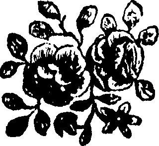 092/092240040003380_0.png