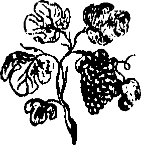 092/092240040003390_0.png