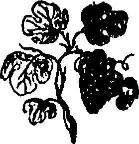 092/092240040003500_0.png