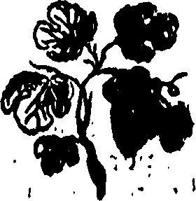 092/092240040003610_0.png