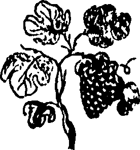 092/092240040004210_0.png