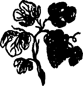 092/092240040004350_0.png