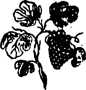 092/092240040004440_0.png