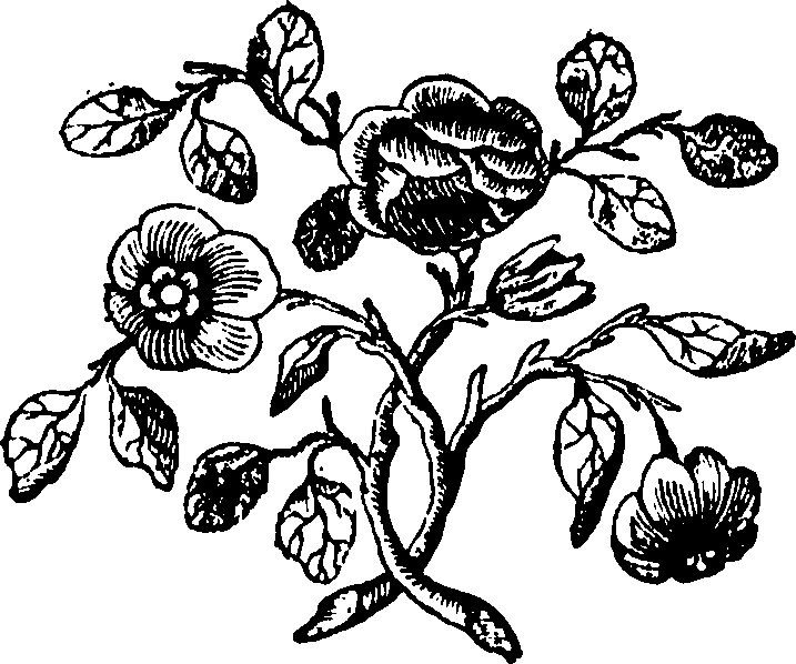 092/092240040004850_0.png