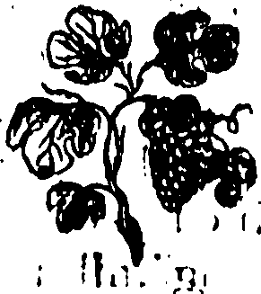 092/092240040004930_0.png