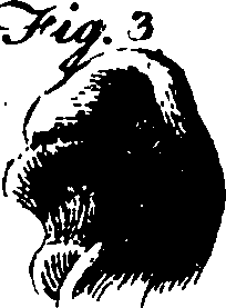092/092390010104050_0.png