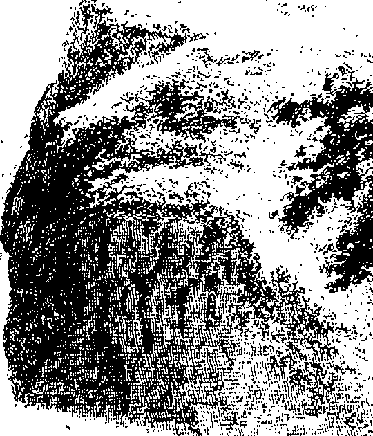 092/092540060001660_0.png