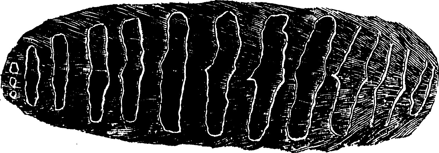 092/092560060001400_0.png