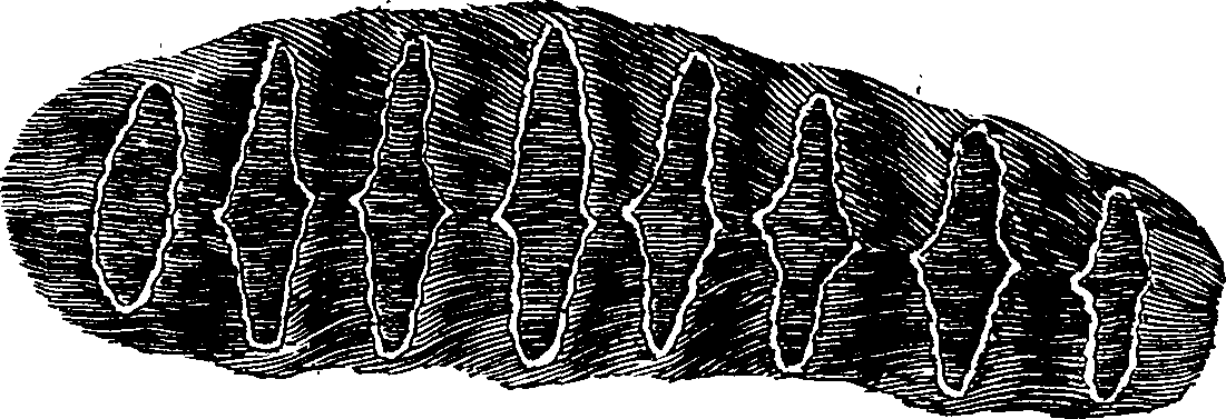 092/092560060001400_2.png