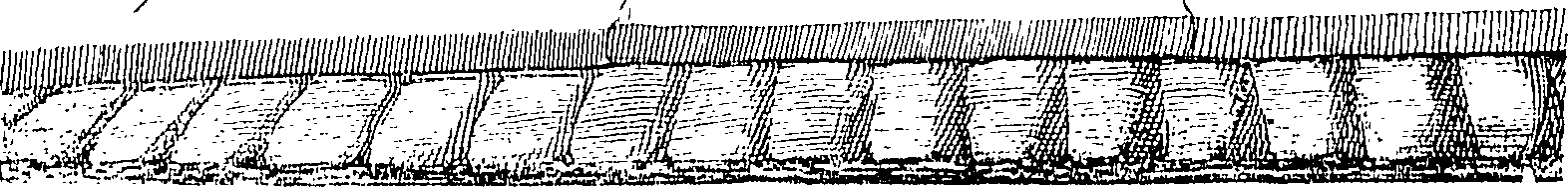 092/092660040000020_0.png