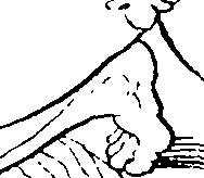 092/092670010000020_0.png