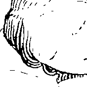 092/092670010000050_1.png