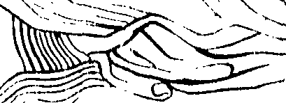 092/092670010000060_0.png