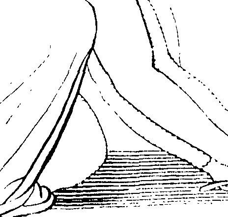 092/092670010000070_1.png