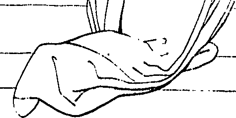 092/092670010000120_0.png