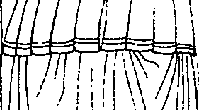092/092670010000120_2.png