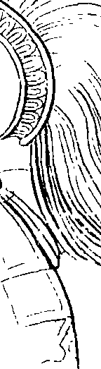 092/092670010000130_0.png