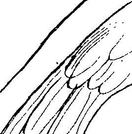 092/092670010000150_2.png